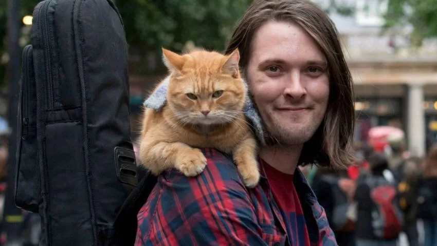 Kätzchen auf der Schulter Buch Bob Alley Cat