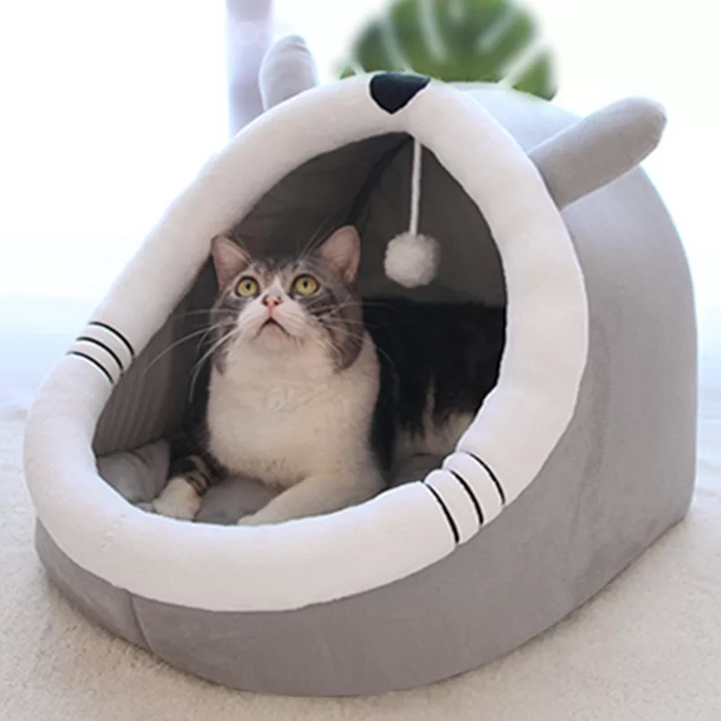 Katzenbett mit Teddybärkopf
