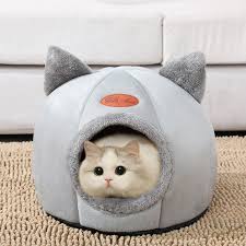 Zwei Katzen, eine ist eine lebende Katze, die andere ist das Bett