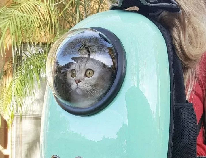 Katzentransportbox