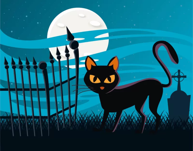 Entdecken Sie die Zusammenhänge zwischen Katzen, Spiritualität und dem Geheimnis des Jenseits. Illustration: Schwarze Cartoon-Katze geht zum Friedhof.