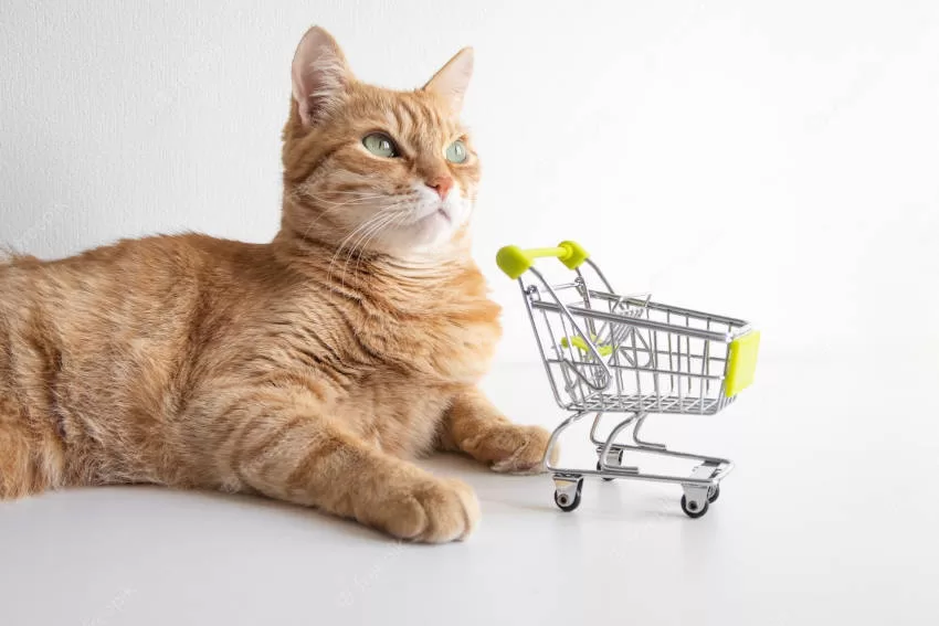 Karrenkatze