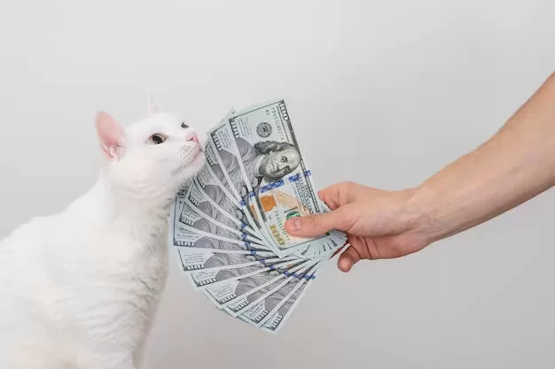 Dollarkatze