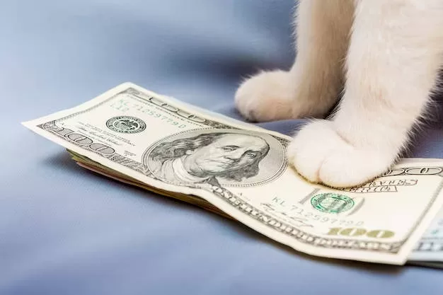 Pfote auf dem Dollar