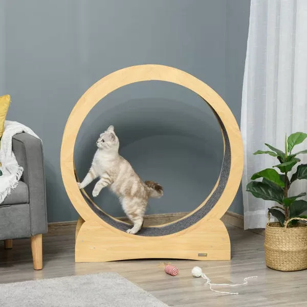 Bild einer aktiven, gesunden Katze, die gerne auf einem Laufrad trainiert. Erfahren Sie, wie Sie Ihre Katze fit und vital halten, indem Sie körperliche Aktivität und tierärztliche Betreuung kombinieren. Erfahren Sie mehr über die Bedeutung von Bewegung für die Gesundheit von Katzen.