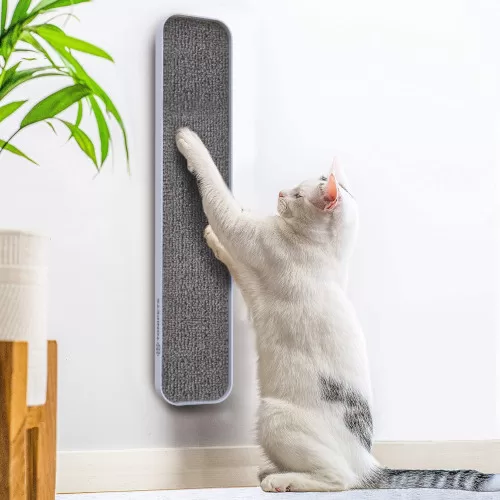 Wandkatzenkratzer mit weißer Katze. Kratztipps und beste Optionen.