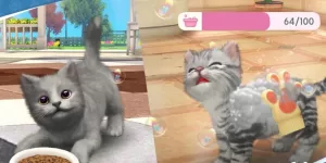 Katzen-Videospiele, Spiele, Katzen