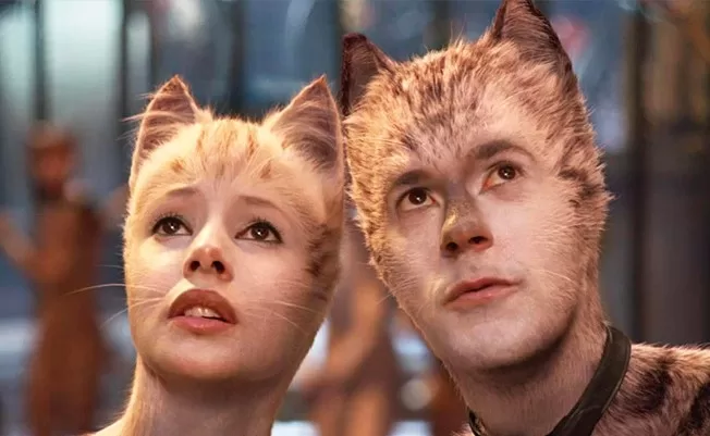 Katzen oft als Haupt