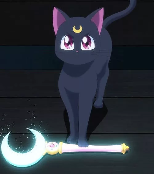 MAGISCHE KATZE