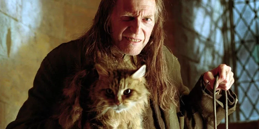 MAGIC CAT IN KINOS UND FILMEN