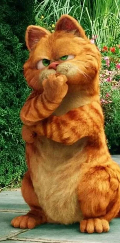 ORANGE CINEMA CAT Katzen in Filmen und Serien