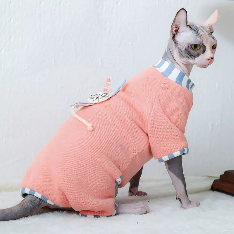 haarlose Katze mit lachsfarbener Kleidung