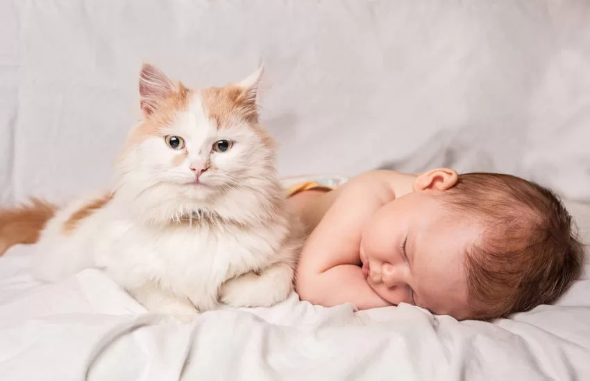 Katze mit Kind