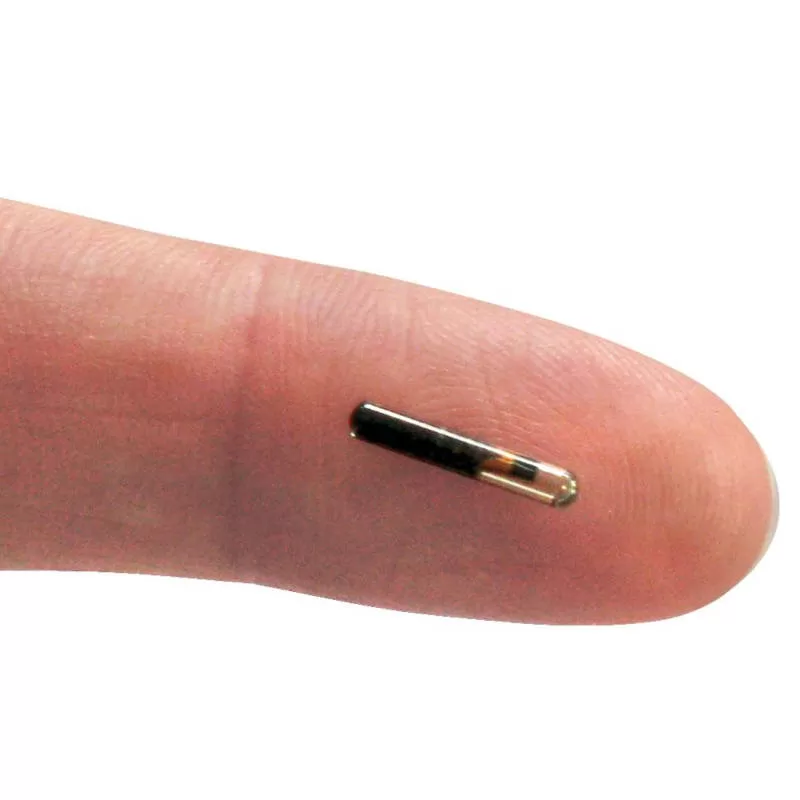 Mikrochip für Katzen