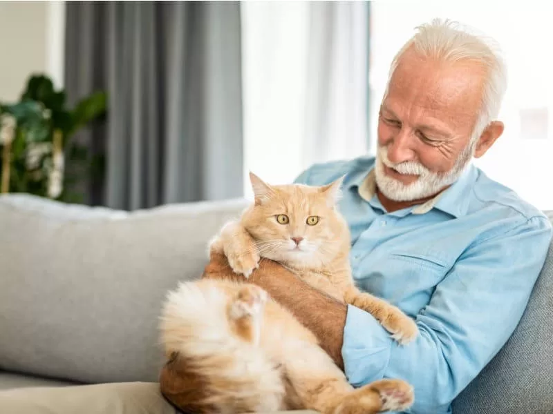 Mann mit seiner Katze