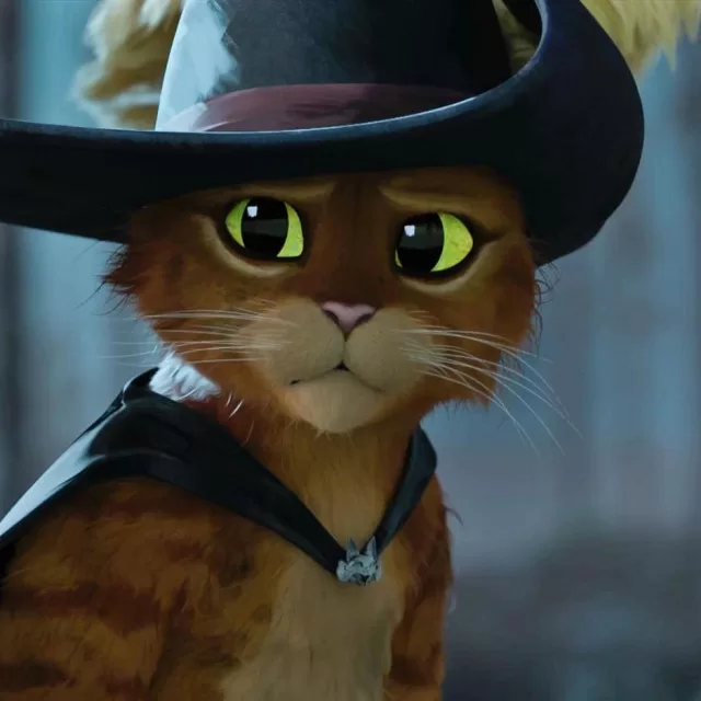 Katzen in Filmen und Serien