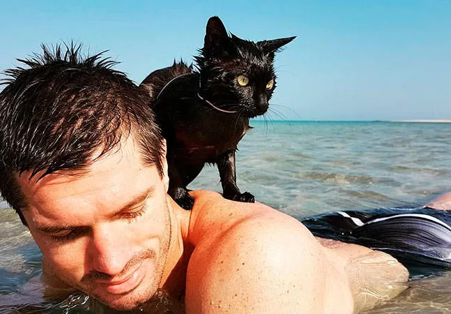 Katze am Strand mit ihrem Besitzer Cats and Beaches